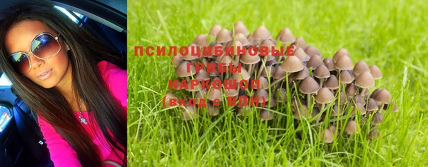 мяу мяу мука Переславль-Залесский