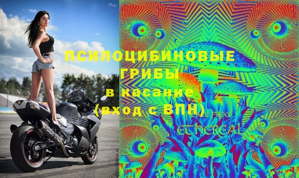 крисы Пестово