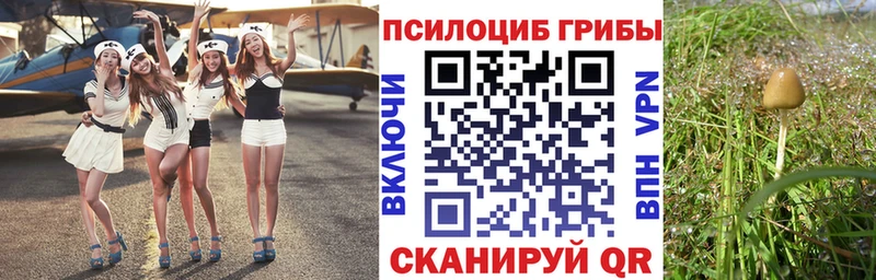 Псилоцибиновые грибы Cubensis  KRAKEN рабочий сайт  Сорск  хочу  
